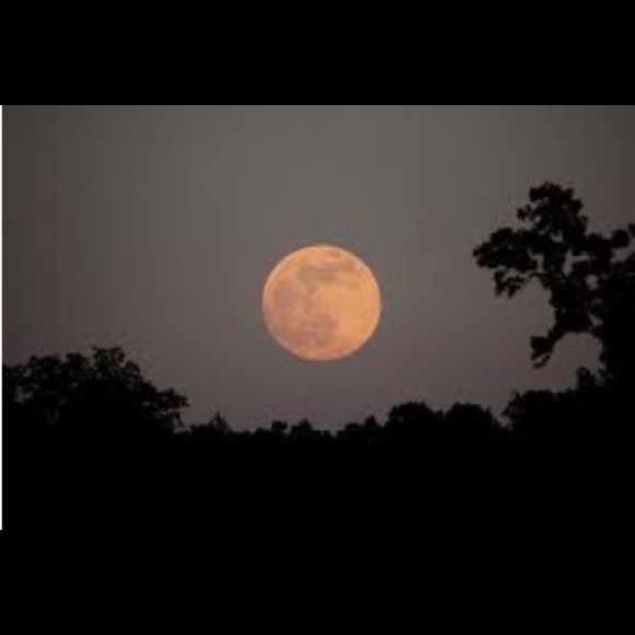 Meet your Posher, Minerva - Picture 1 of 2